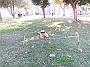 IMAG0064