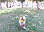IMAG0065
