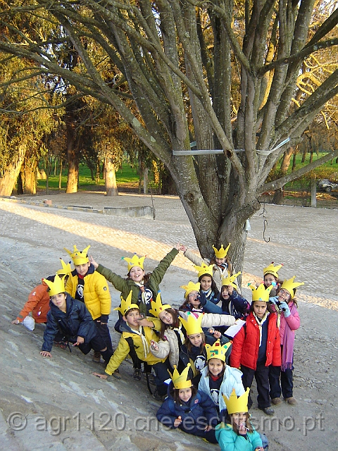 DSC04698.JPG