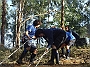 DSC03170