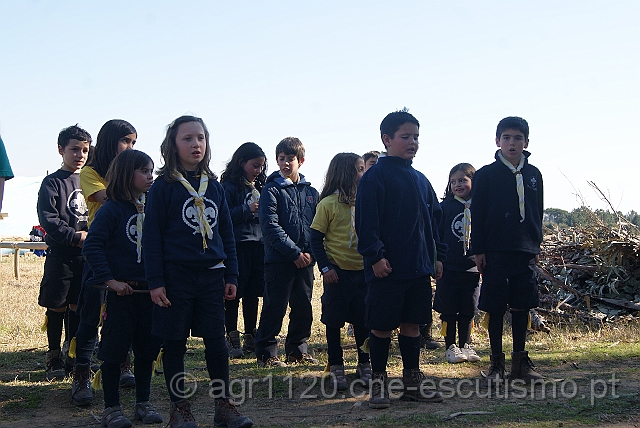 DSC02306.JPG
