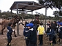DSCF2838