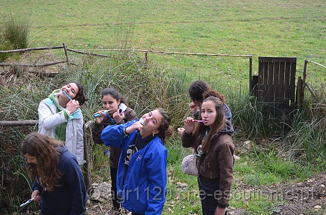 DSC_5563.JPG