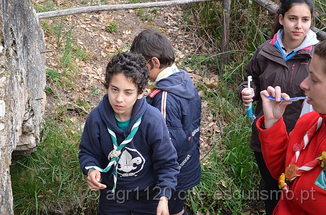DSC_5566.JPG