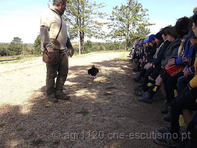 DSCF1763.JPG