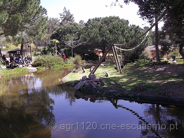 DSCF1768.JPG