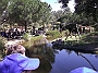 DSCF1770