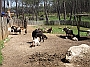 DSCF1801