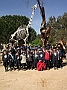 DSCF1815