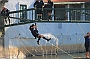 ERP2013_009